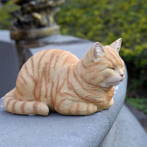 Orange tabby cat napping - orange,